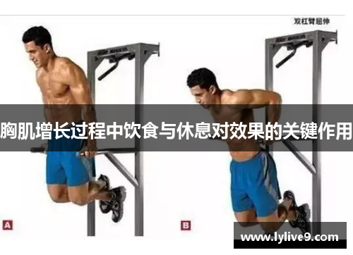 胸肌增长过程中饮食与休息对效果的关键作用